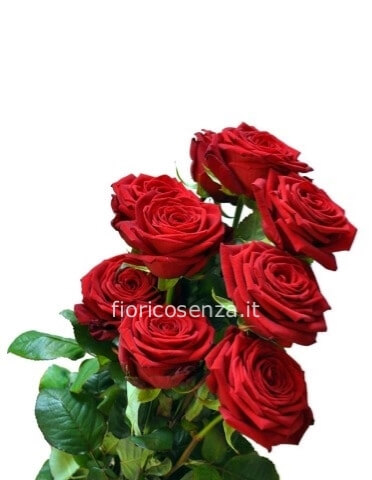 Rose Rosse EXTRA a steli, prima scelta, lunghezza 80 cm.