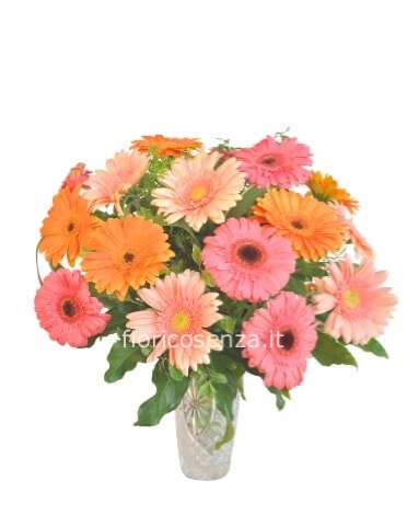 Bouquet di gerbere