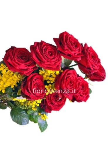 Fascio di rose rosse a stelo lungo con mimosa
