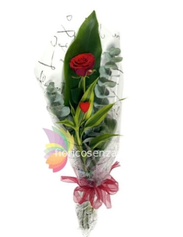 Rosa rossa a stelo lungo confezionata
